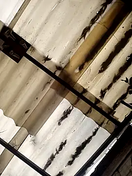 Snapshot of weedmanhot28 chatting on November 2, 12:51 pm weedmanhot28 online show from November 2, 12:51 pm