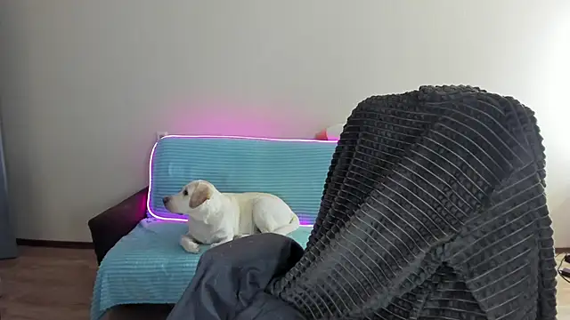 Snapshot of Liam_sexy1 chatting on December 20, 8:06 am Liam sexy1 online show from December 20, 8:06 am