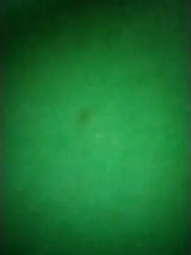 Snapshot of Zane_Natha chatting on November 10, 12:53 am Zane Natha online show from November 10, 12:53 am