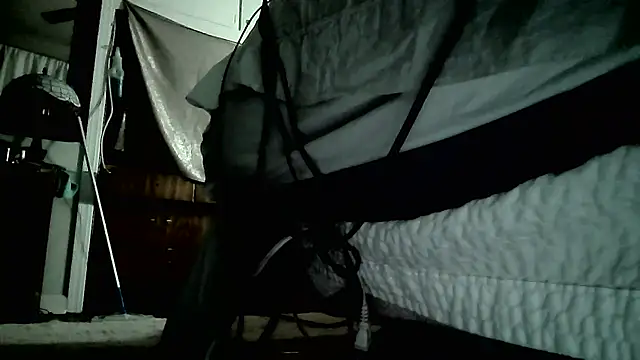 paiday online show from December 26, 9:55 am