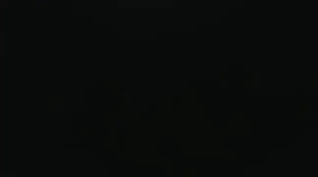 SonSett online show from January 24, 1:35 am