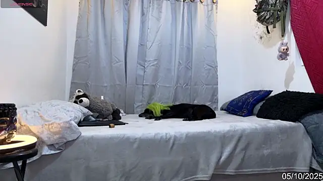 Snapshot of alejo_cute chatting on October 6, 8:28 pm alejo cute online show from October 6, 8:28 pm