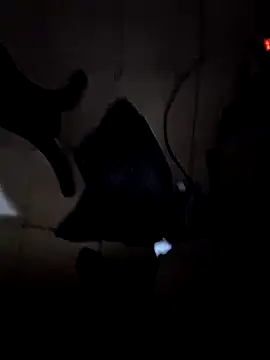 everyoneneeds online show from December 26, 7:03 am