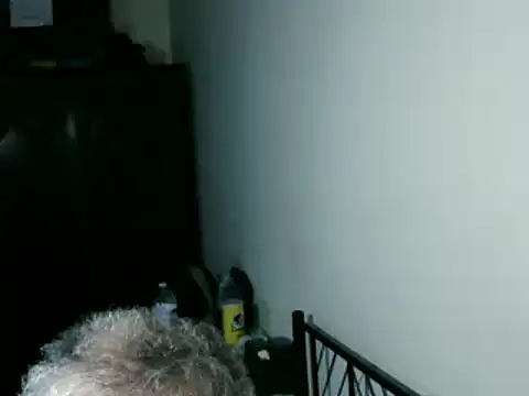 100Tauros online show from March 8, 8:51 am