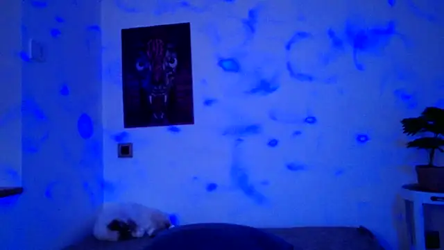 ValeryCrowley14 online show from January 15, 9:03 am