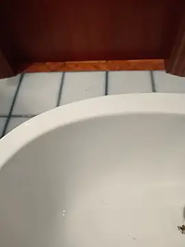 Snapshot of Durovoglioso2 chatting on March 15, 7:14 am Durovoglioso2 online show from March 15, 7:14 am