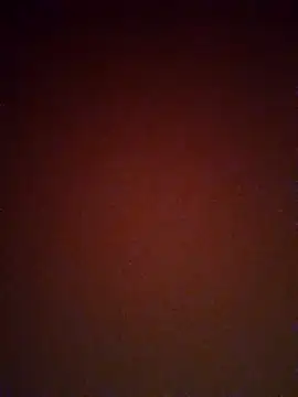 Snapshot of mendelicius chatting on February 25, 2:33 pm mendelicius online show from February 25, 2:33 pm