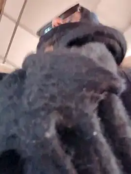 Morphine 666 online show from March 7, 7:16 am