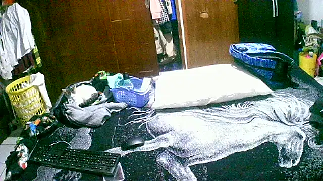 jperezofficial1 online show from September 13, 9:42 am