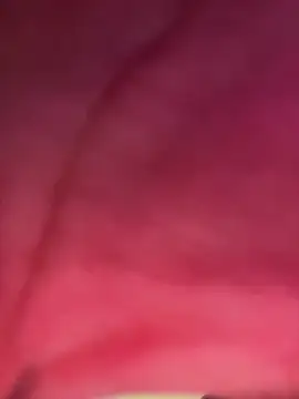 Snapshot of izanmiller2001 chatting on October 8, 7:33 pm izanmiller2001 online show from October 8, 7:33 pm