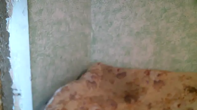 DennisXCaroll online show from April 23, 10:14 am