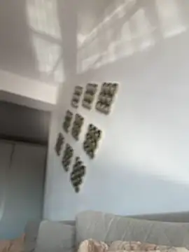 RaquelleDevon online show from April 23, 6:14 am