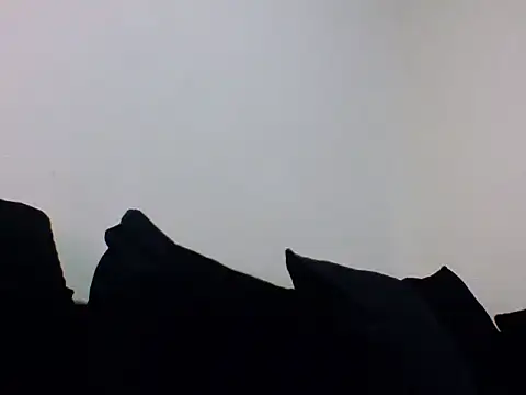 Snapshot of Cinderella_Jewels_ chatting on February 20, 10:04 pm Cinderella Jewels  online show from February 20, 10:04 pm