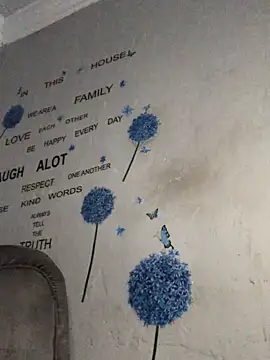 DiamondGoddes online show from January 22, 7:24 pm