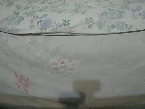 Snapshot of Tiger202441 chatting on December 16, 10:24 pm Tiger202441 online show from December 16, 10:24 pm