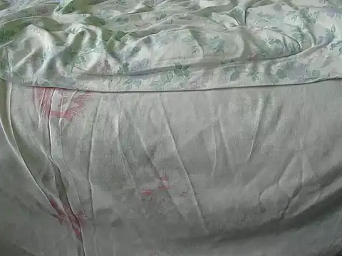 Snapshot of Tiger202441 chatting on December 18, 10:08 am Tiger202441 online show from December 18, 10:08 am