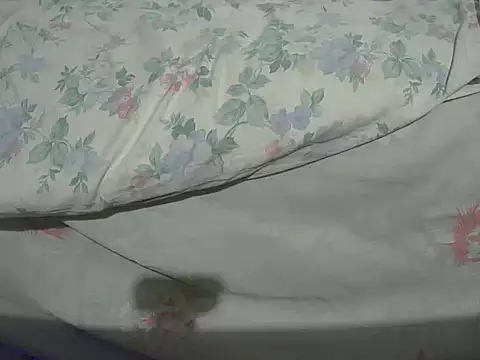 Snapshot of Tiger202441 chatting on December 20, 10:32 pm Tiger202441 online show from December 20, 10:32 pm