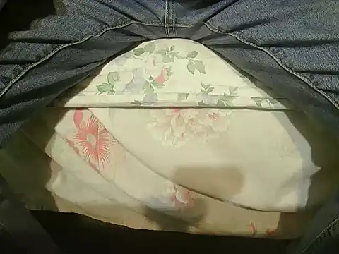 Snapshot of Tiger202441 chatting on December 25, 5:47 pm Tiger202441 online show from December 25, 5:47 pm