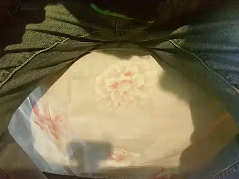 Snapshot of Tiger202441 chatting on December 30, 9:48 am Tiger202441 online show from December 30, 9:48 am