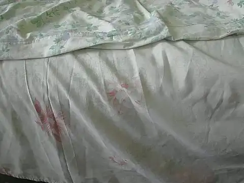 Snapshot of Tiger202441 chatting on December 31, 12:04 pm Tiger202441 online show from December 31, 12:04 pm