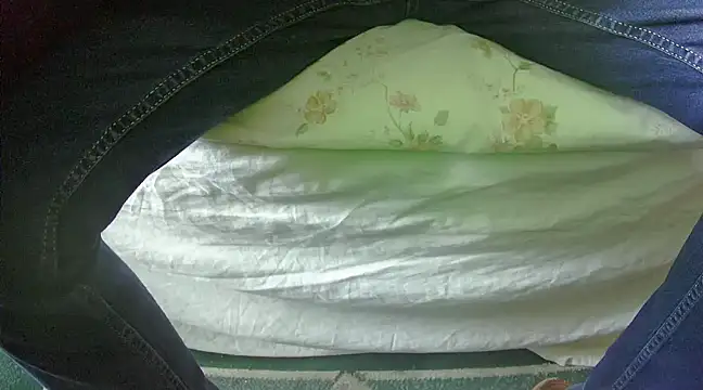 Snapshot of Tiger202441 chatting on February 27, 10:48 am Tiger202441 online show from February 27, 10:48 am