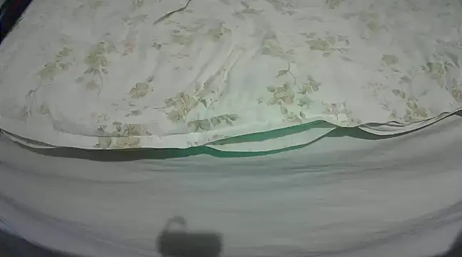 Snapshot of Tiger202441 chatting on March 4, 9:32 pm Tiger202441 online show from March 4, 9:32 pm