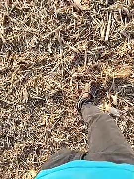 Snapshot of murokkk31 chatting on September 30, 1:49 pm murokkk31 online show from September 30, 1:49 pm