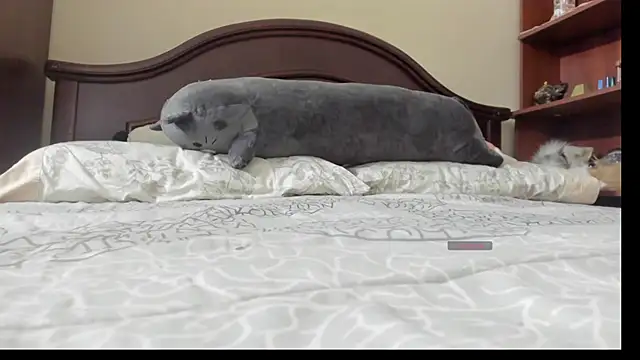 linnie  online show from February 2, 2:32 am