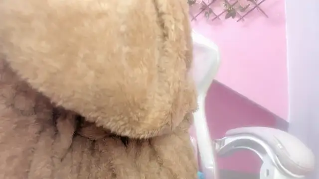 Snapshot of meribeth303av chatting on December 22, 2:17 am meribeth303av online show from December 22, 2:17 am