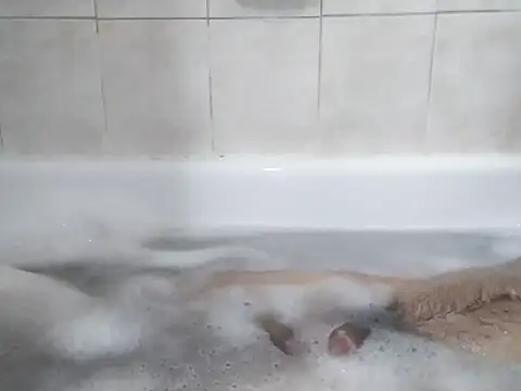 69LanceRomance69 online show from February 27, 9:20 am