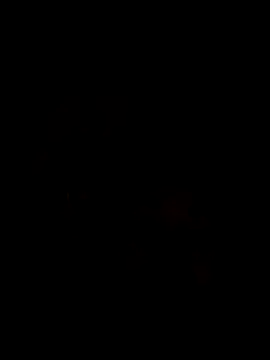 Snapshot of Ory22 chatting on November 1, 4:42 pm Ory22 online show from November 1, 4:42 pm