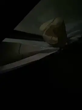 xxkingxx420 online show from December 16, 7:00 pm