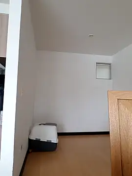  monicab online show from March 20, 3:58 pm