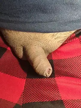 publicsir online show from April 10, 4:33 pm