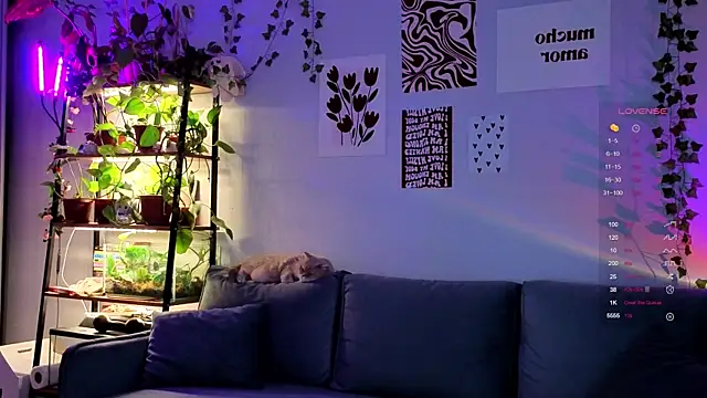 Your Corvus online show from December 5, 9:51 am