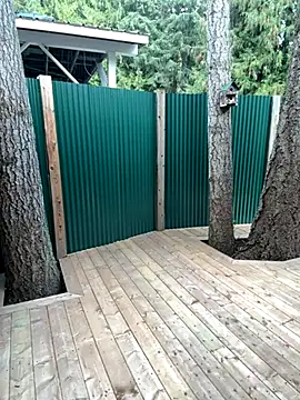 Snapshot of twist699 chatting on November 11, 6:41 pm twist699 online show from November 11, 6:41 pm