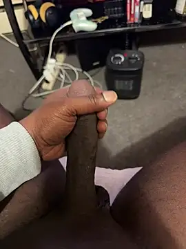 Cameltoekilla online show from February 12, 12:00 pm