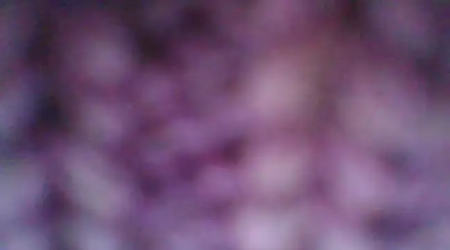 Snapshot of mia_cooper_24 chatting on December 30, 7:00 pm mia cooper 24 online show from December 30, 7:00 pm