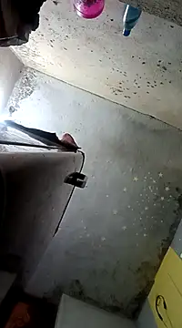 Gautami-telugu online show from February 11, 7:38 pm