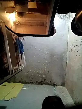 Gautami-telugu online show from September 22, 4:20 pm