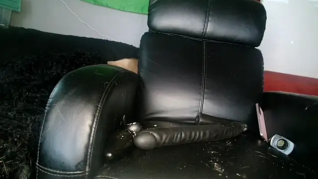 Snapshot of Gigadickman chatting on December 5, 1:49 pm Gigadickman online show from December 5, 1:49 pm