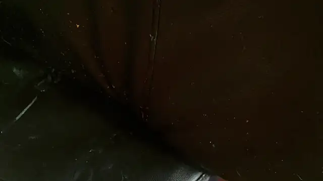 Snapshot of Gigadickman chatting on January 2, 10:11 pm Gigadickman online show from January 2, 10:11 pm