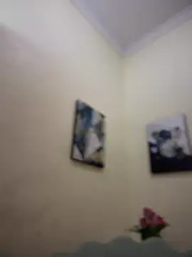 MaverickGray online show from January 26, 4:41 pm