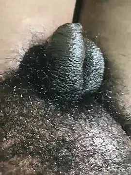 rajrahulovi online show from February 2, 4:49 pm