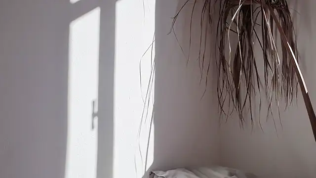 my lina online show from October 17, 6:27 am