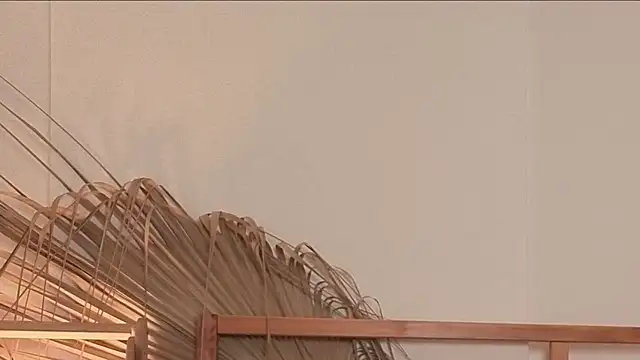 my lina online show from April 24, 5:54 am