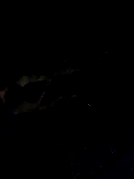 Wildherb244 online show from December 4, 1:36 am