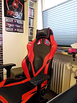 PupW0lfy online show from January 28, 3:14 pm