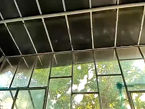 Milky hairy mommy online show from September 15, 1:00 pm