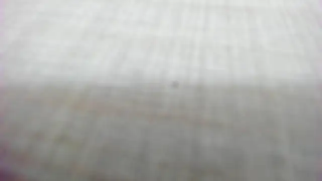 Snapshot of AishaRouhi chatting on February 14, 5:26 am AishaRouhi online show from February 14, 5:26 am